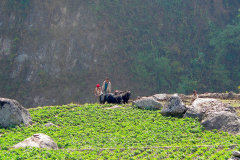 Nepal, Begegnungen unterwegs nach Daman