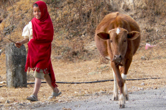 Nepal, Begegnungen unterwegs nach Daman