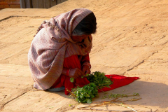 Nepal, Dhulikhel