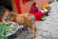Nepal, Pashupatinath