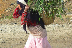 Nepal, Begegnungen unterwegs nach Pokhara