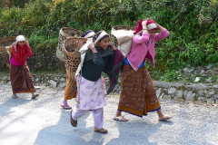 Nepal, Umgebung Pokhara