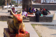 Nepal, Umgebung Pokhara