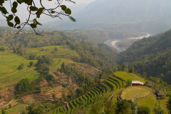 Nepal, Unterwegs nach Tansen, Terrassenfelder
