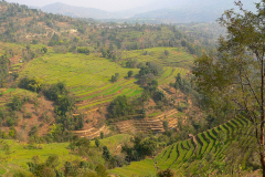 Nepal, Unterwegs nach Tansen, Terrassenfelder