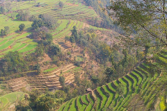 Nepal, Unterwegs nach Tansen, Terrassenfelder
