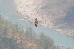 Nepal, Unterwegs nach Tansen, Kali Gandaki Fluss