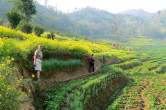 Nepal, Trekking Umgebung von Balthali