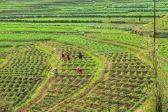 Nepal, Trekking Umgebung von Balthali