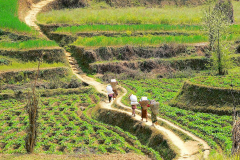 Nepal, Trekking Umgebung von Balthali