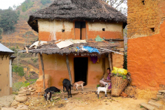 Nepal, Trekking Umgebung von Balthali