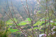 Nepal, Trekking Umgebung von Balthali