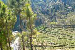 Nepal, Trekking Umgebung von Balthali