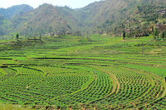 Nepal, Trekking Umgebung von Balthali