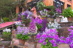 Nepal, Nagarkot, The Fort Resort