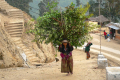 Nepal, Trekking Umgebung von Nagarkot