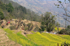 Nepal, Trekking Umgebung von Nagarkot