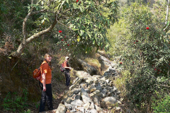 Nepal, Trekking Umgebung von Nagarkot