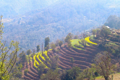 Nepal, Trekking Umgebung von Nagarkot