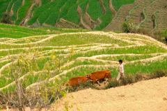 Nepal, Trekking Umgebung von Nagarkot