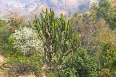 Nepal, Trekking Umgebung von Nagarkot