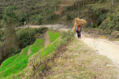 Nepal, Trekking Umgebung von Nagarkot