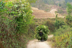 Nepal, Trekking Umgebung von Nagarkot