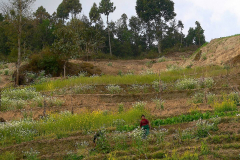 Nepal, Trekking Umgebung von Nagarkot
