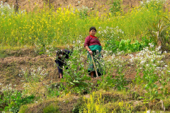 Nepal, Trekking Umgebung von Nagarkot