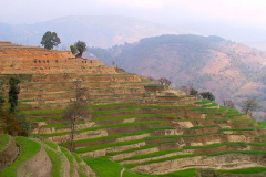 Nepal, Trekking Umgebung von Nagarkot