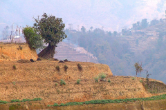 Nepal, Trekking Umgebung von Nagarkot
