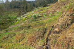 Nepal, Trekking Umgebung von Nagarkot