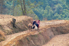 Nepal, Trekking Umgebung von Nagarkot