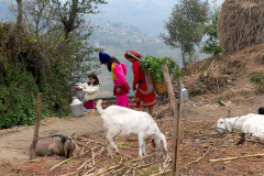 Nepal, Trekking Umgebung von Nagarkot