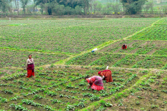Nepal, Trekking Umgebung von Nagarkot