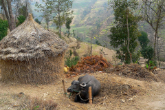 Nepal, Trekking Umgebung von Nagarkot