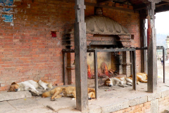 Nepal, Trekking Nala