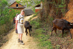 Nepal, Zelt-Trekking Kathmandutal