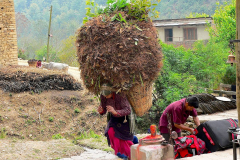 Nepal, Zelt-Trekking Kathmandutal