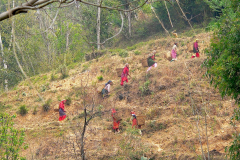 Nepal, Zelt-Trekking Kathmandutal