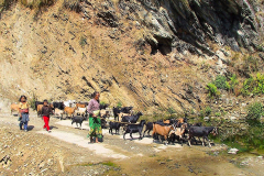 Nepal, Zelt-Trekking Kathmandutal