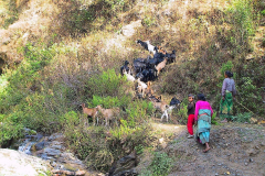 Nepal, Zelt-Trekking Kathmandutal