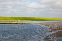 Niedersachsen, Butjadingen, Langwarder Groden