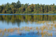 Niedersachsen, Rotenburg, Großer Bullensee