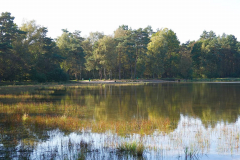 Niedersachsen, Rotenburg, Großer Bullensee