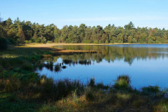 Niedersachsen, Rotenburg, Großer Bullensee