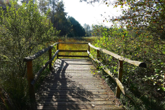 Niedersachsen, Rotenburg, Nordpfad Doert Moor