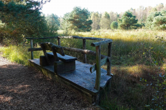 Niedersachsen, Rotenburg, Nordpfad Doert Moor