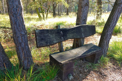Niedersachsen, Rotenburg, Nordpfad Doert Moor