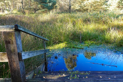 Niedersachsen, Rotenburg, Nordpfad Doert Moor
